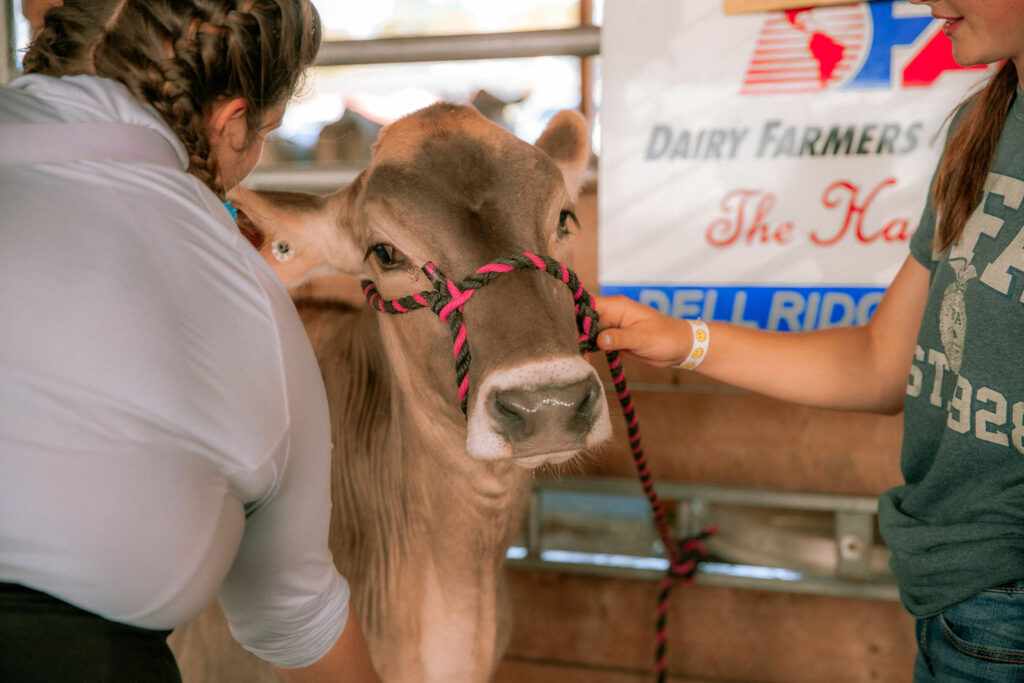 Entry Deadline Approaching for State Fair of West Virginia 9 GP 4785